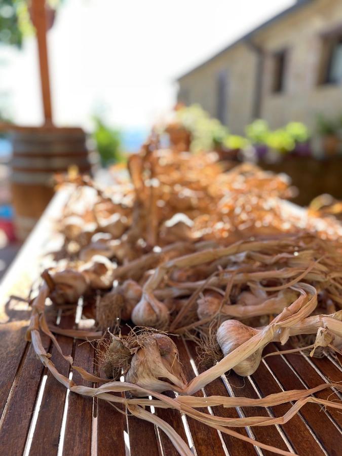 La Tana Del Picchio Farm stay