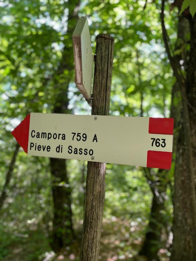 Farm stay La Tana Del Picchio Neviano degli Arduini