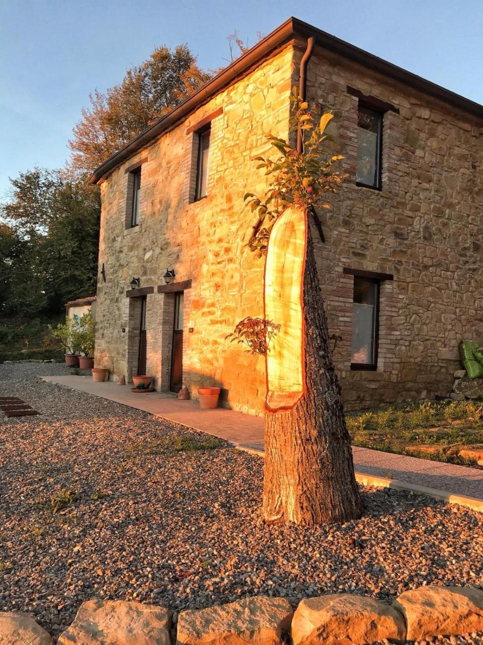 Farm stay La Tana Del Picchio *