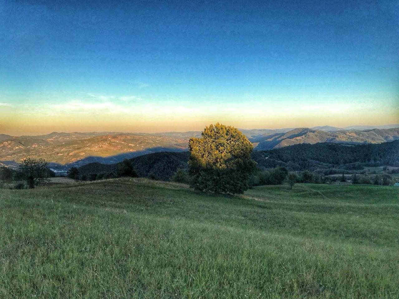 La Tana Del Picchio Farm stay Neviano degli Arduini